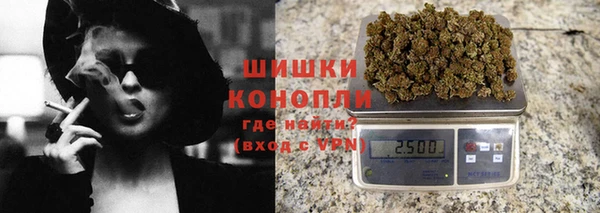 мет Дмитриев