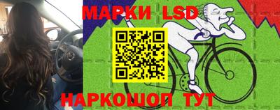 стаф Бузулук