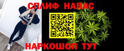 стаф Бузулук
