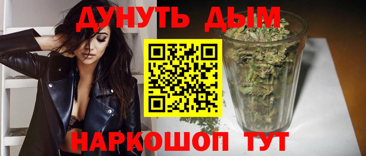 Канабис сатива Зерноград
